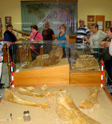 Επίσκεψη στο μουσείο Φυσικής Ιστορίας στη Μηλιά Γρεβενών.